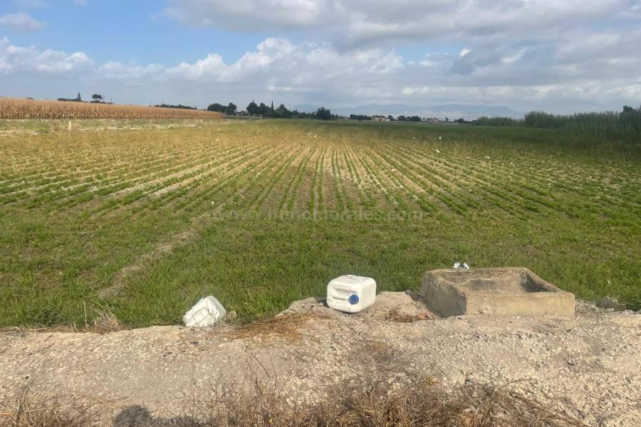 Venta - Terreno/Solar - San Fulgencio