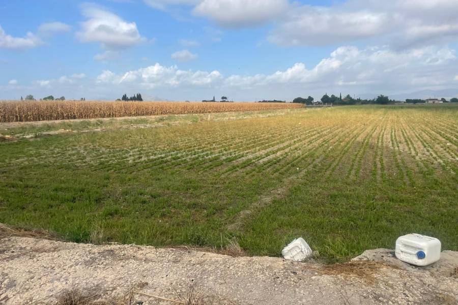 Venta - Terreno/Solar - San Fulgencio