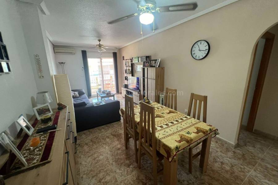 Revente - Appartement - Almoradí