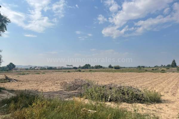 Land - Resale - Almoradí - Almoradí