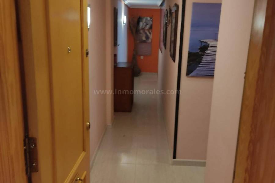 Revente - Appartement - Almoradí