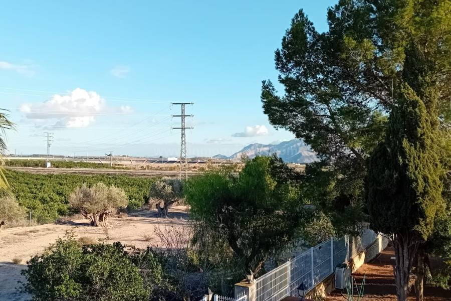 Venta - Casa de Campo - Orihuela - La Murada