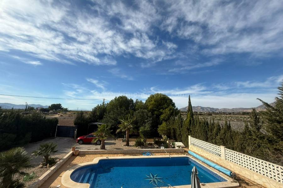 Resale - Country Villa   - Crevillente - Crevillent