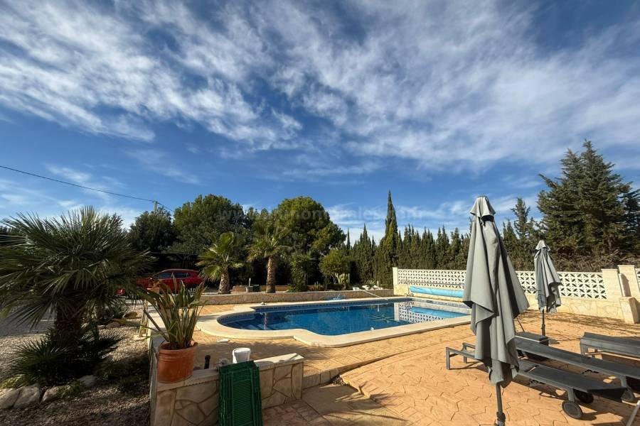 Resale - Country Villa   - Crevillente - Crevillent