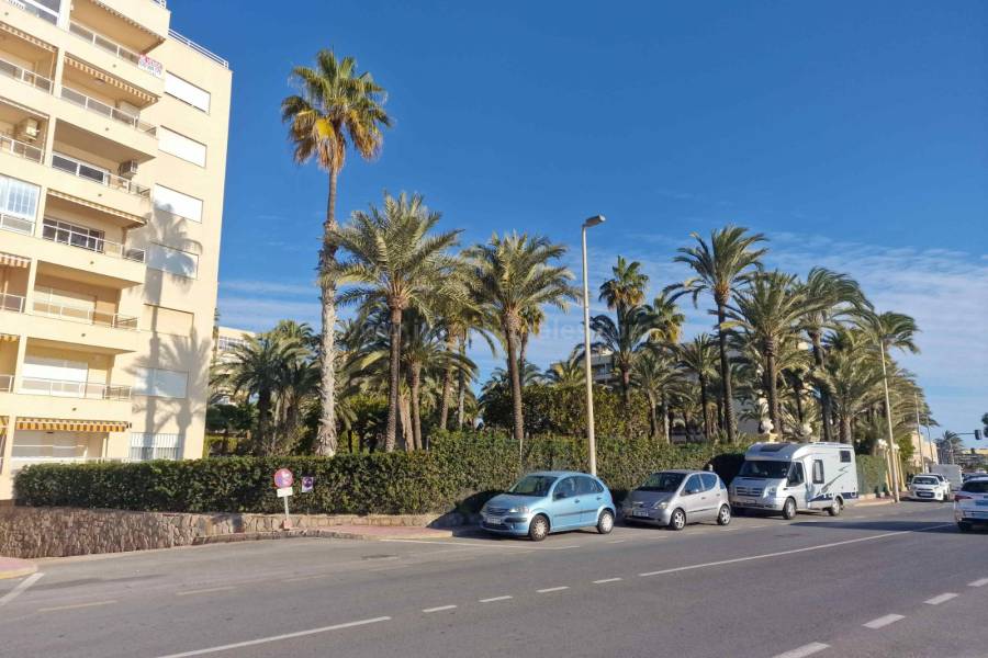 Resale - Apartment  - Torrevieja - Playa de los Locos