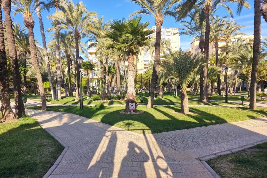 Resale - Apartment  - Torrevieja - Playa de los Locos