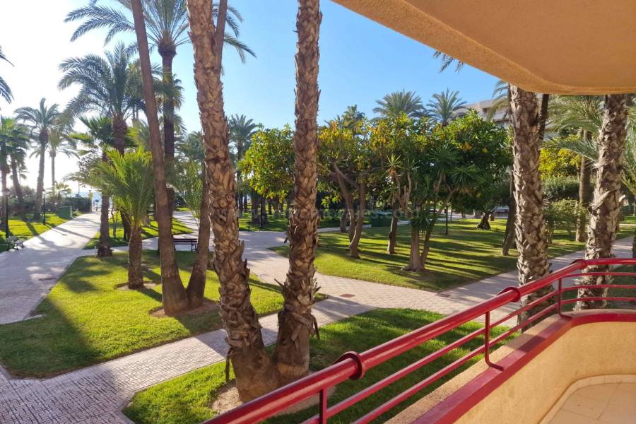 Resale - Apartment  - Torrevieja - Playa de los Locos