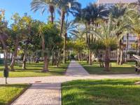 Resale - Apartment  - Torrevieja - Playa de los Locos