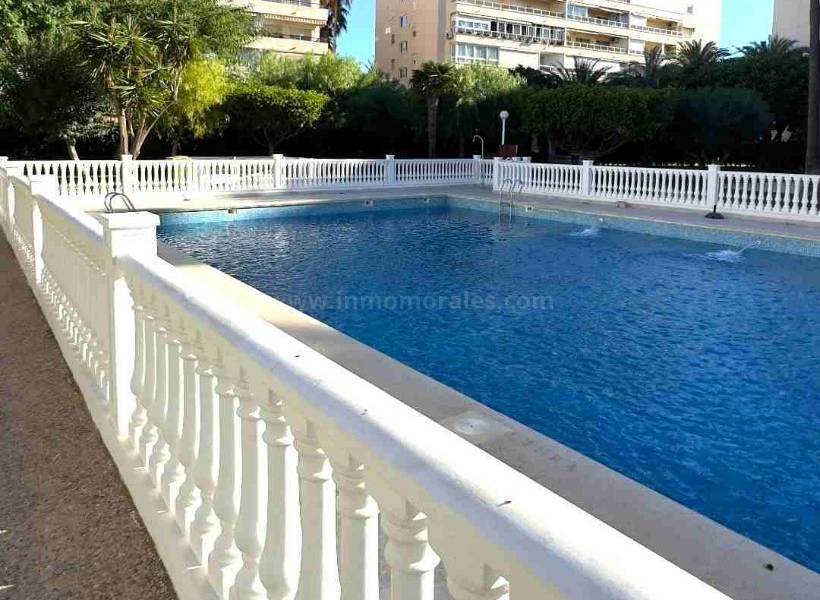 Resale - Apartment  - Torrevieja - Playa de los Locos