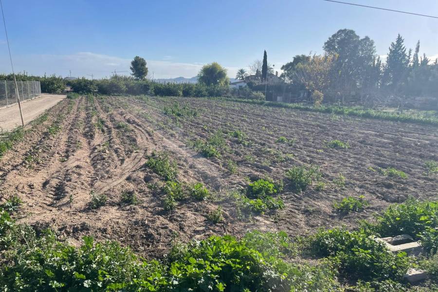 Revente - Terrain - Almoradí