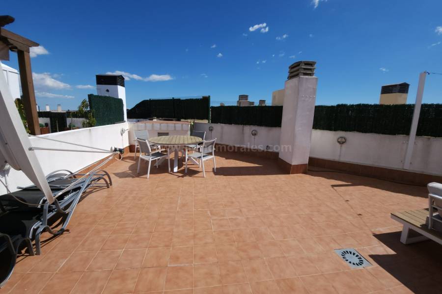 Venta - Ático - Almoradí