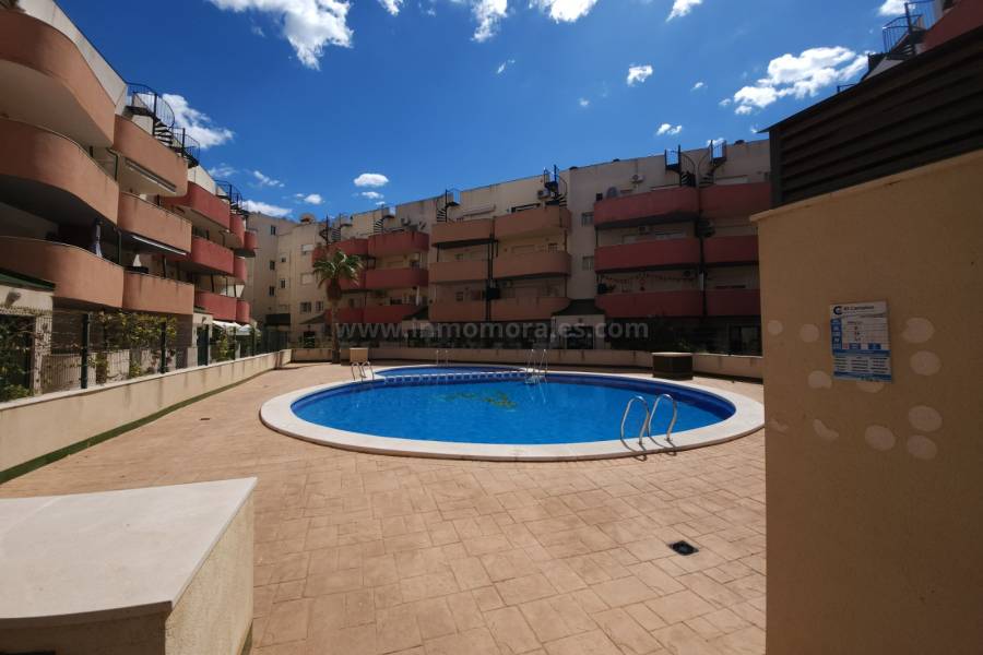 Venta - Ático - Almoradí