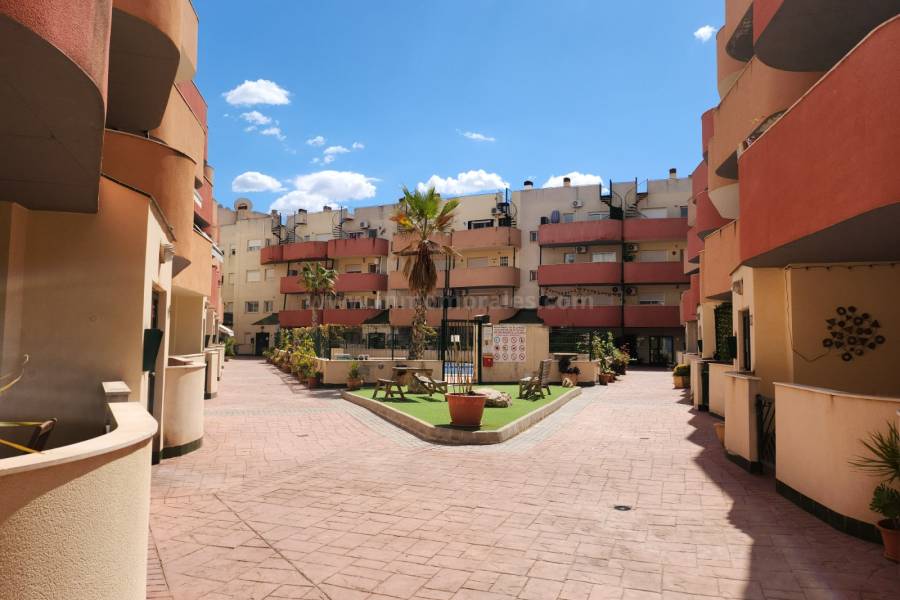 Venta - Ático - Almoradí