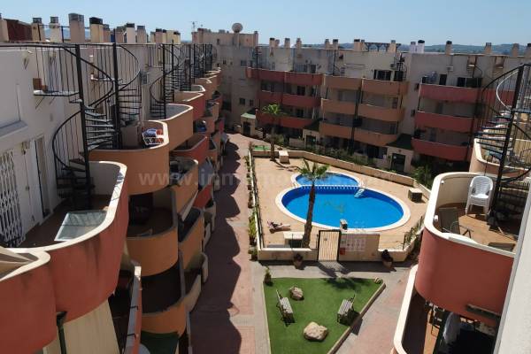 Ático - Venta - Almoradí - Almoradí