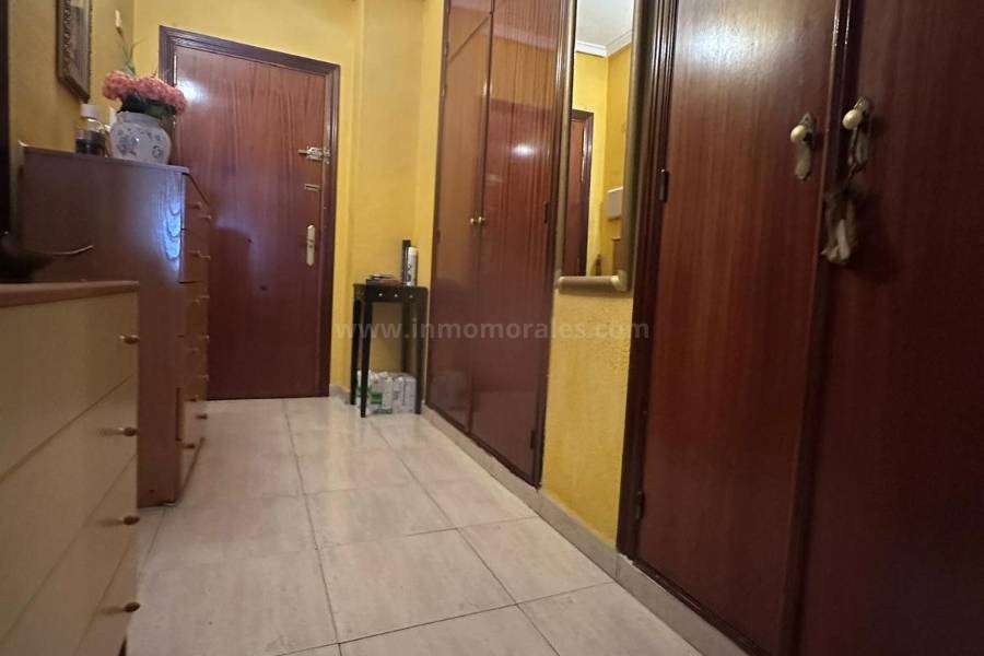 Wiederverkauf - Studio - Torrevieja - Playa del Cura