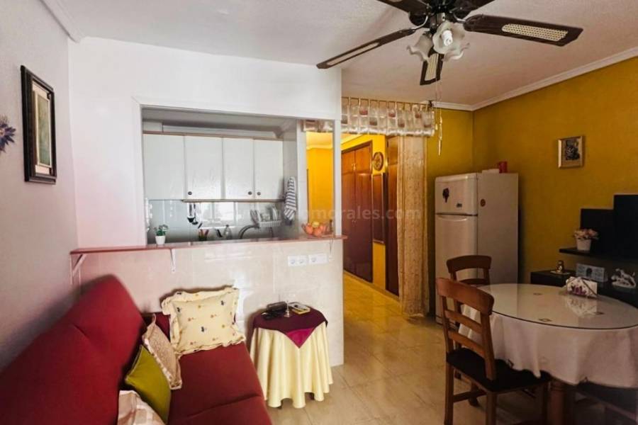 Wiederverkauf - Studio - Torrevieja - Playa del Cura