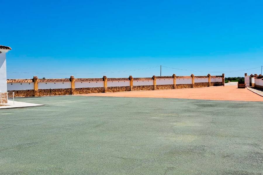 Venta - Casa de Campo - Catral