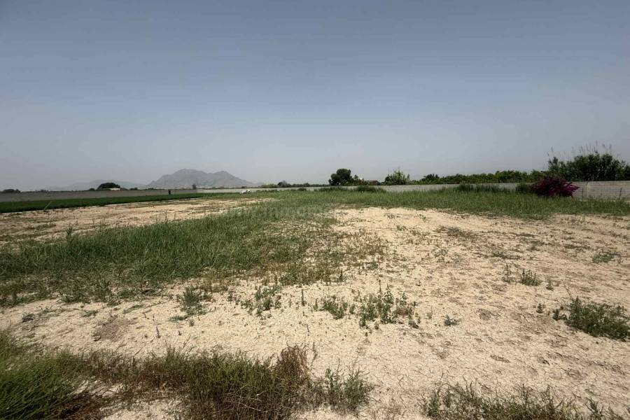 Venta - Casa de Campo - Almoradí