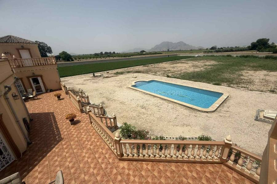 Venta - Casa de Campo - Almoradí