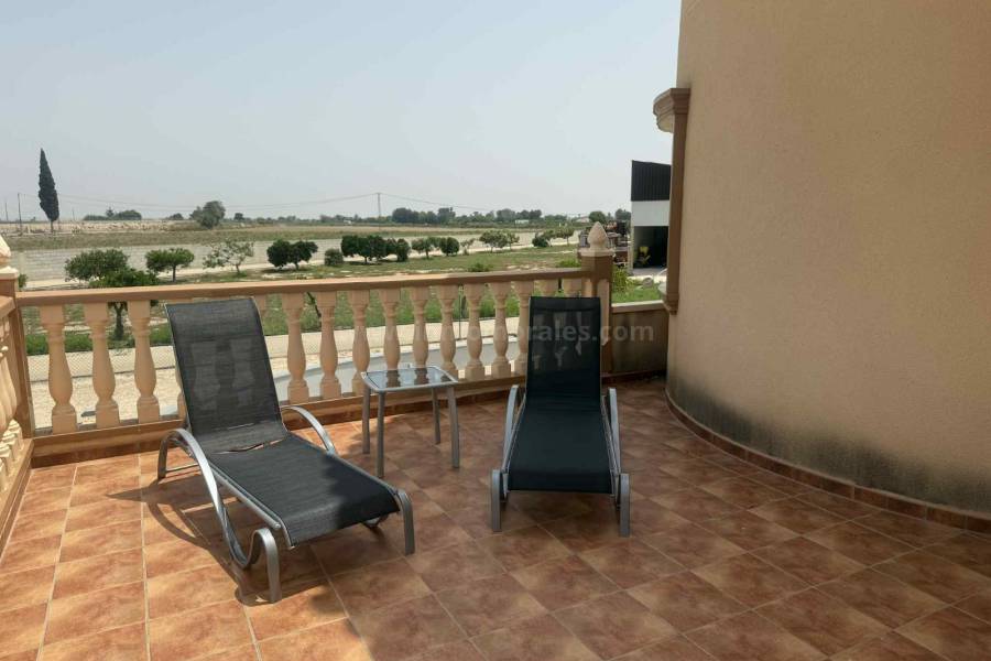 Venta - Casa de Campo - Almoradí