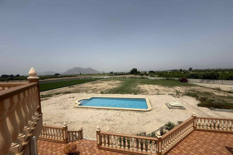 Venta - Casa de Campo - Almoradí