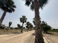 Venta - Casa de Campo - Almoradí