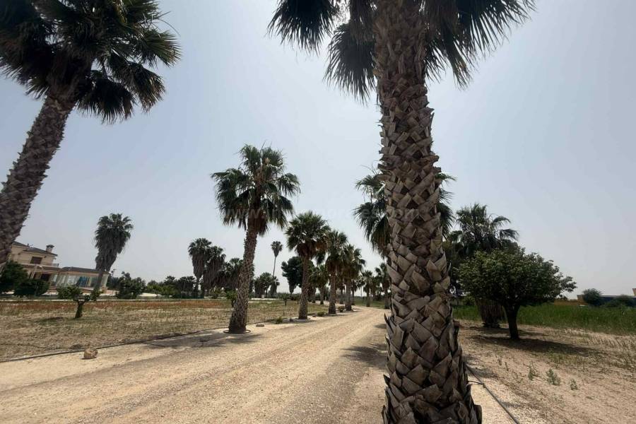 Venta - Casa de Campo - Almoradí