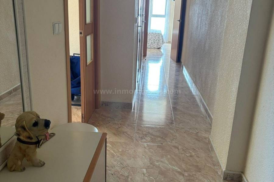 Resale - Apartment  - Torrevieja - Playa de los Locos