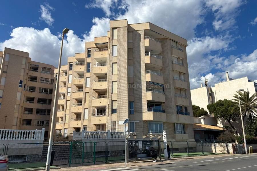 Resale - Apartment  - Torrevieja - Playa de los Locos
