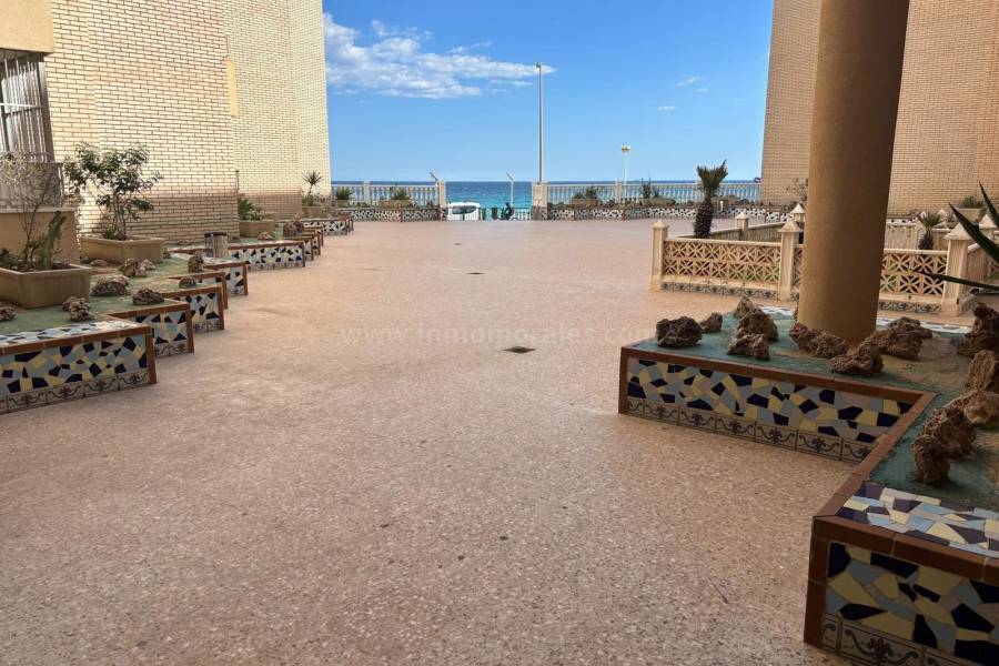 Resale - Apartment  - Torrevieja - Playa de los Locos