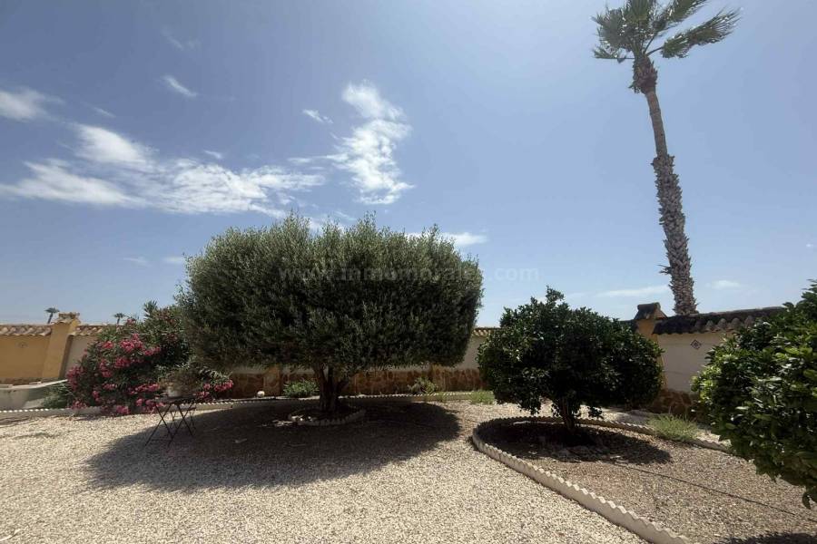 Resale - Country Villa   - Catral