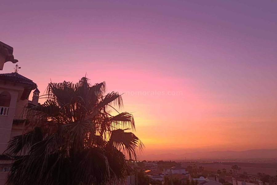 Revente - Maison individuelle / Villa - Almoradí