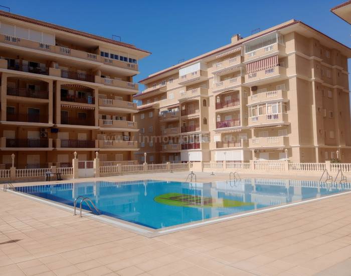 Apartment  - Resale - La Mata - La Mata