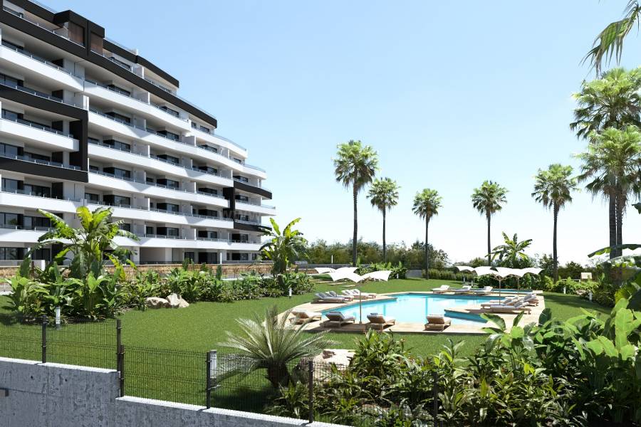 New Build - Apartment  - San Miguel de Salinas