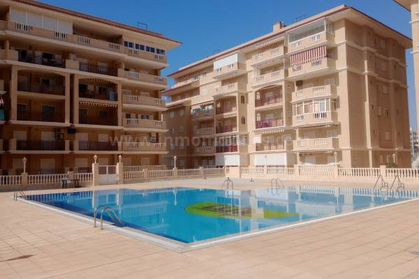 Wohnung/Apartment - Wiederverkauf - La Mata - La Mata