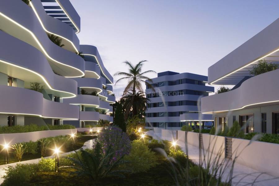 Nueva construcción  - Apartamento / Piso - Guardamar del Segura - El Raso