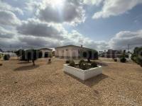 Revente - Villa ( Finca ) - Catral