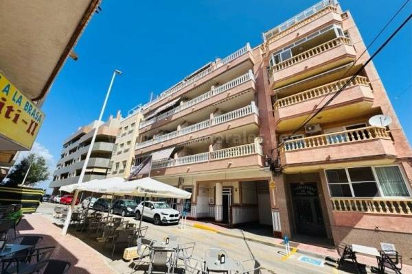 Wohnung/Apartment - Wiederverkauf - La Mata - La Mata
