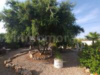 Resale - Country Villa   - Catral
