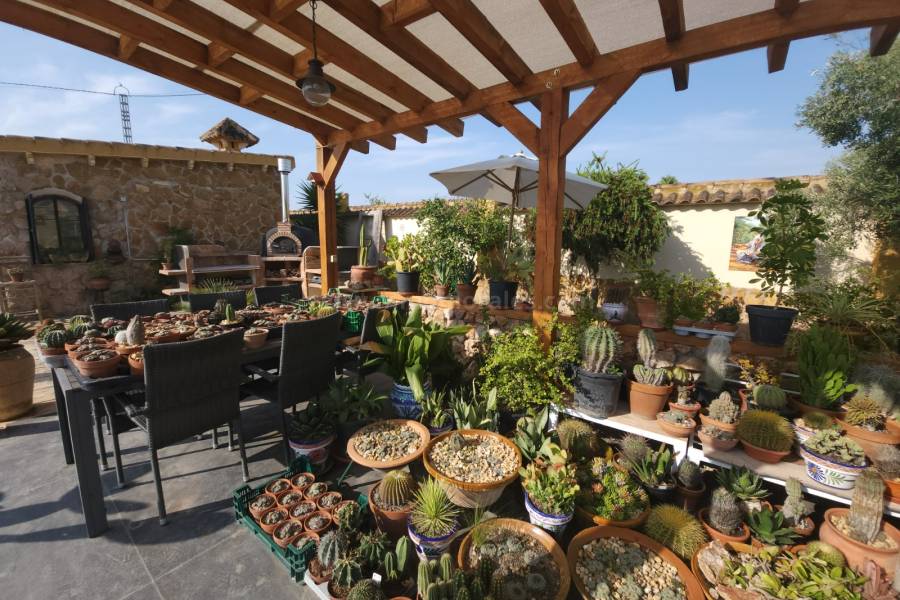 Resale - Country Villa   - Catral