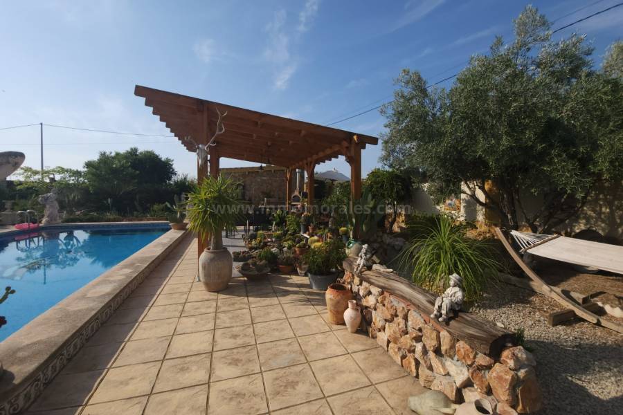 Resale - Country Villa   - Catral