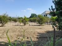 Wiederverkauf - Villa ( Finca ) - Benejúzar