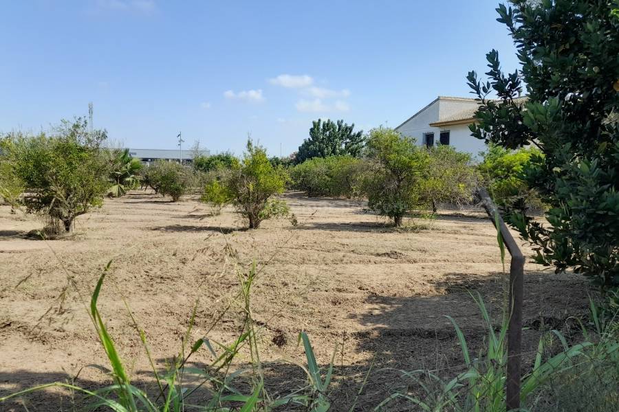 Wiederverkauf - Villa ( Finca ) - Benejúzar