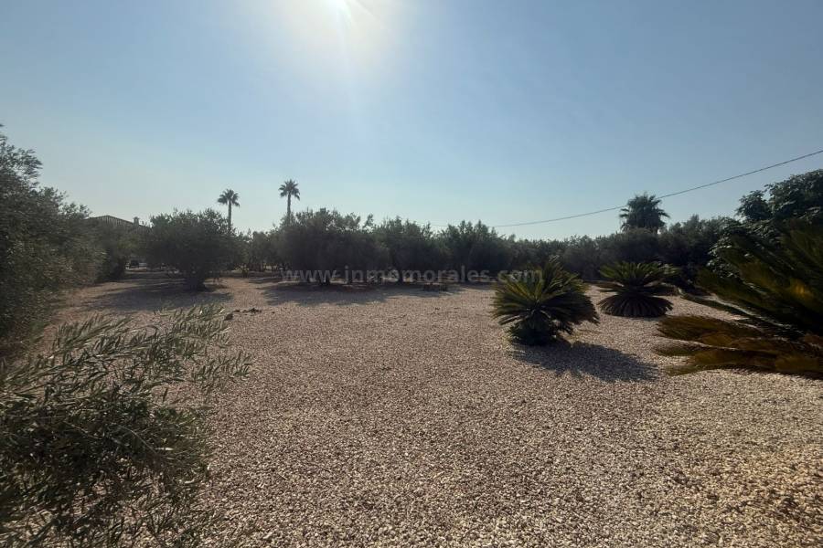 Venta - Villa con anexo - Catral