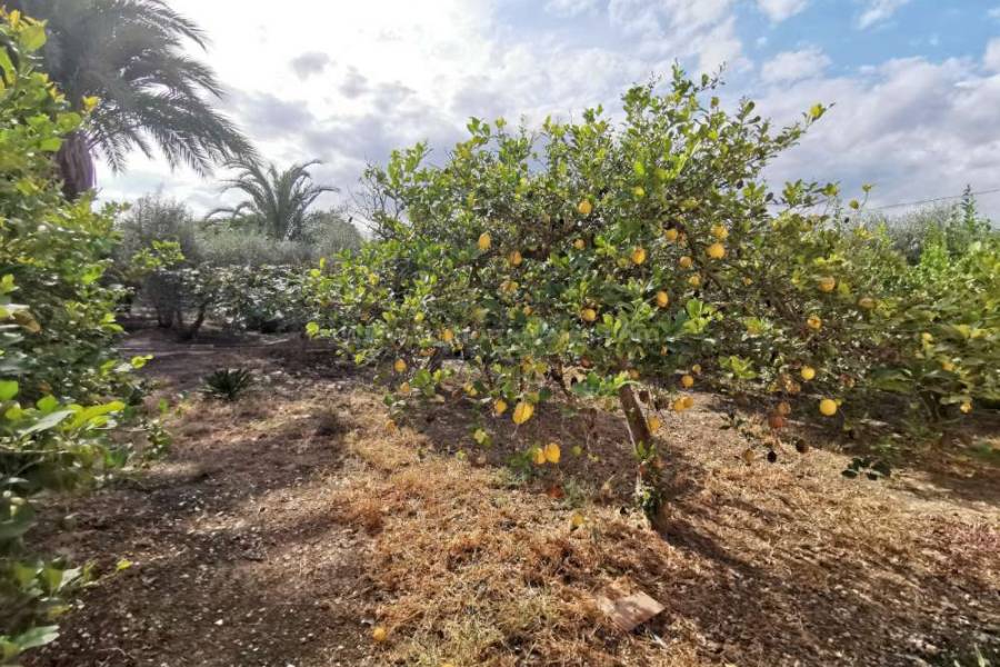 Wiederverkauf - Villa ( Finca ) - Catral