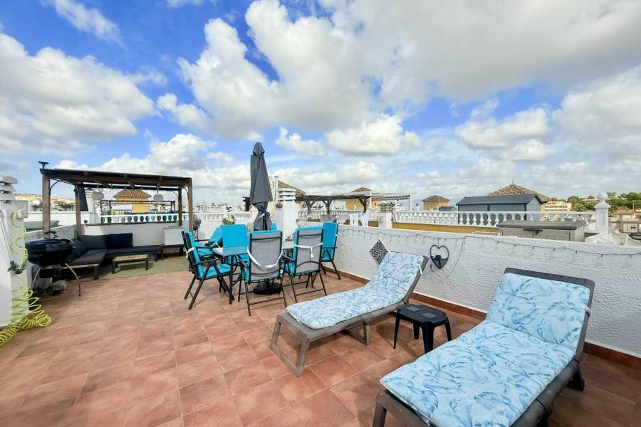 Herverkoop - Appartement - Algorfa