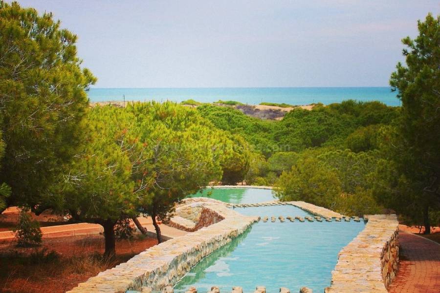 Resale - Apartment  - La Mata