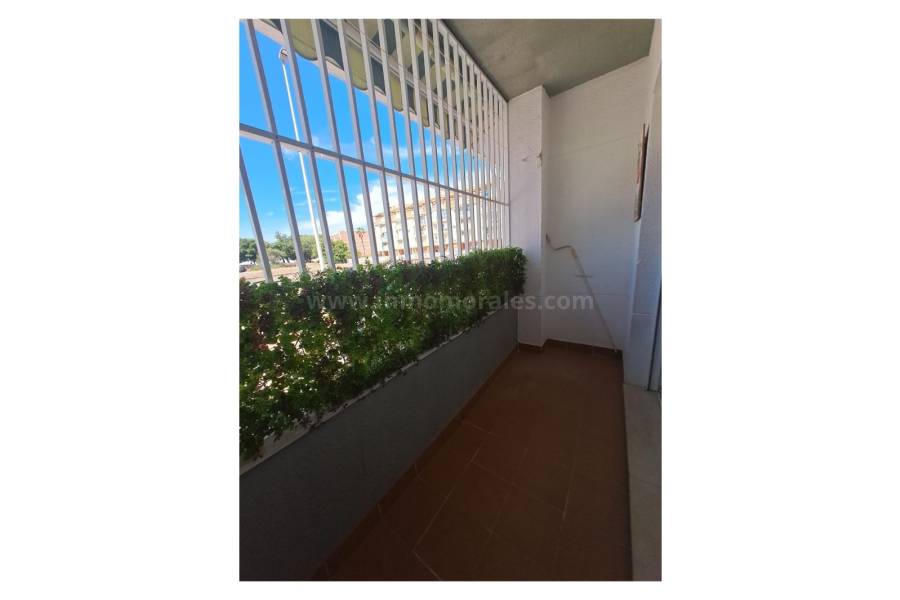 Resale - Apartment  - La Mata
