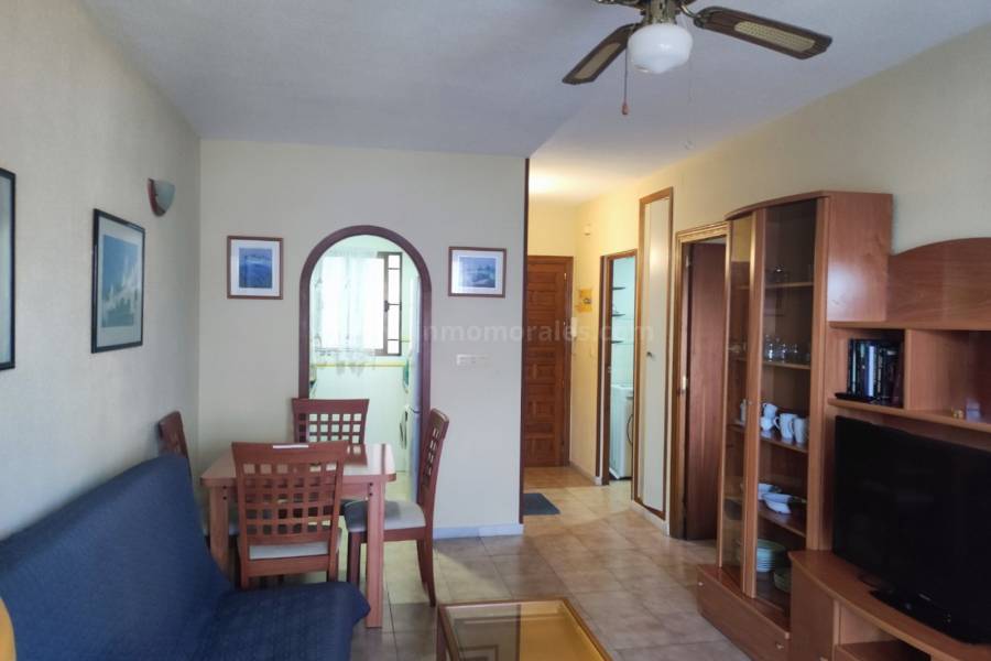 Resale - Apartment  - La Mata