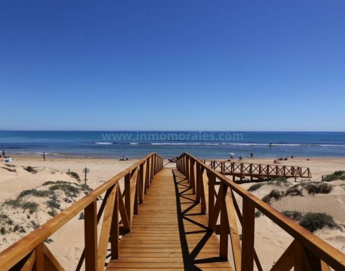 Apartment  - Resale - La Mata - La Mata